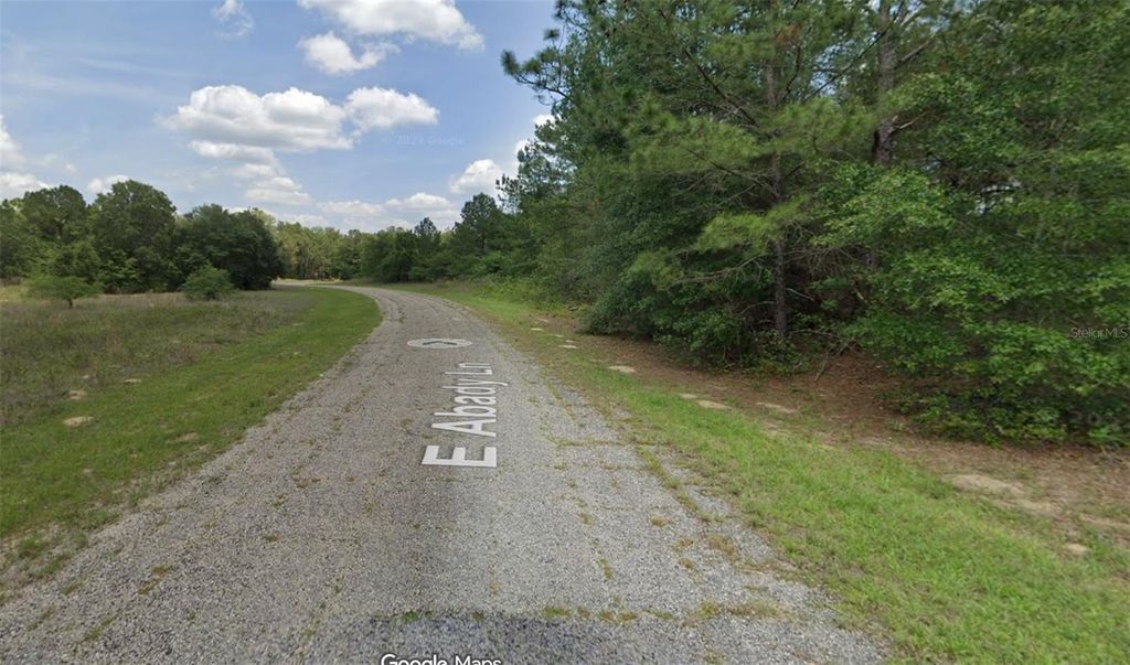 Photo of 576 E Abady Lane, Dunnellon, FL 34434 (MLS # OM713974)