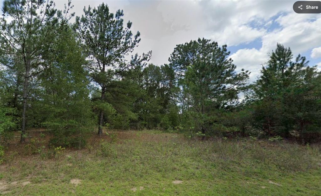 Photo of 576 E Abady Lane, Dunnellon, FL 34434 (MLS # OM713974)