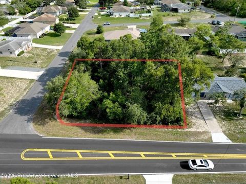12828 LINDEN DRIVE SPRING HILL FL 34609