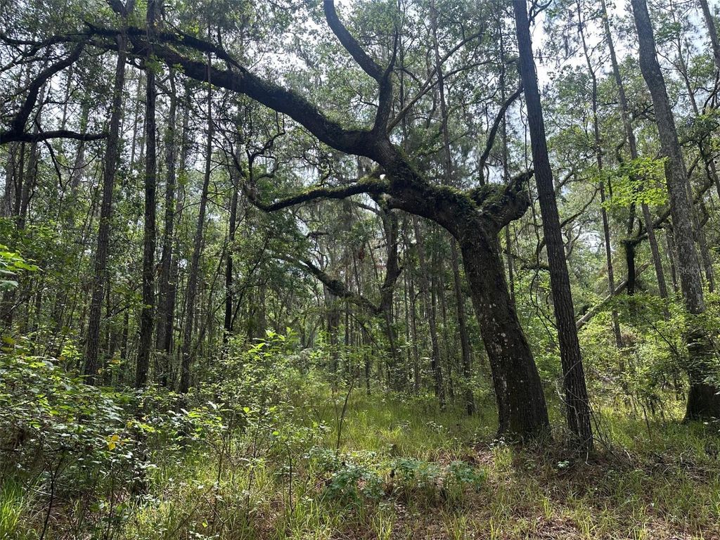 Photo of 0 Emerson Road, Brooksville, FL 34601 (MLS # W7875625)