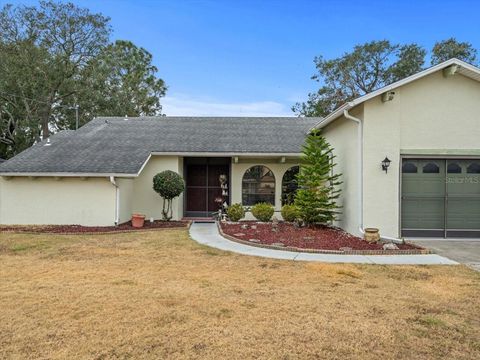 A home in SPRING HILL