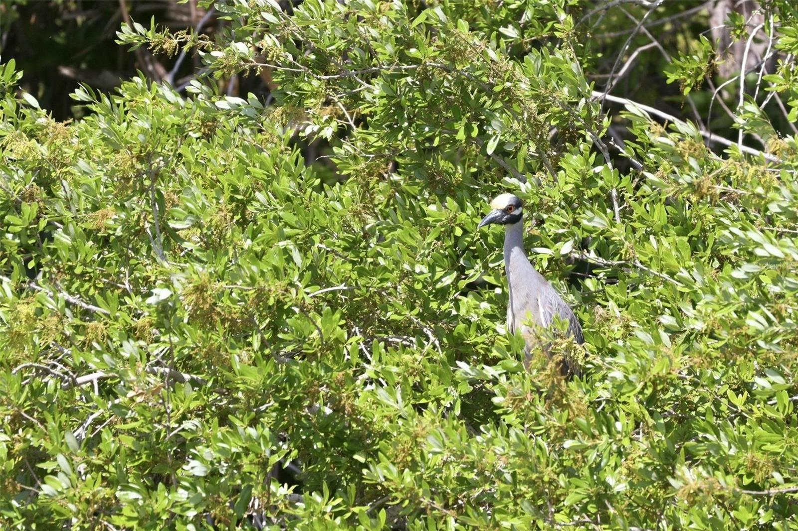 PARKHILL ESTATES - Residential