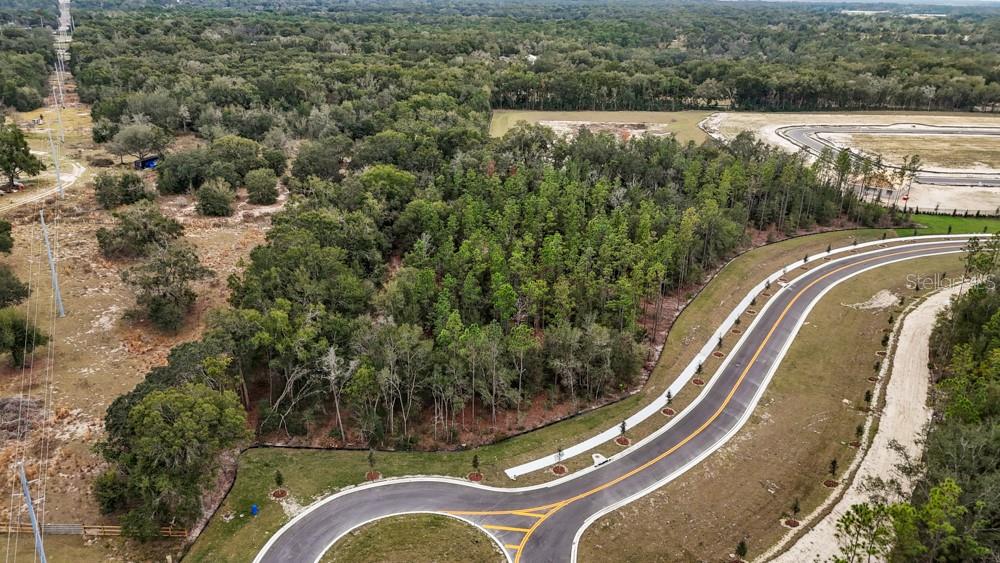 FOOTHILLS OF MOUNT DORA PHASE 4-2 - Land