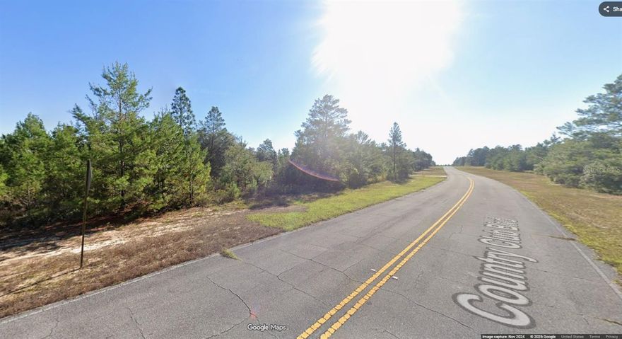 Sellers have 2 oversized, adjacent lots, listed separately, but prefers to sell them together...with power lines and water lines a short distance away on Country Club Blvd. This one is Lot 30 (02-0218-0030) and is .333 acres. Lot 29 (02-0218-0029) is .341 acres. Both lots total .674 acres together. EACH lot is priced at $9,900. Nice building lots for single-family homes in the quickly growing subdivision of Sunny Hills!! ...what are you waiting for...Sunny Hills boasts the magnificent Sunny Hills Golf and Country Club!! No time frame to build in...homes only subdivision, no mobile homes...no HOA!! Come build your dream home now!! Don't miss out, call today!!!