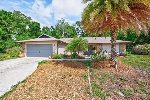Photo of 2735 Cypress Hollow Court, New Port Richey, FL 34655 (MLS # TB8509221)