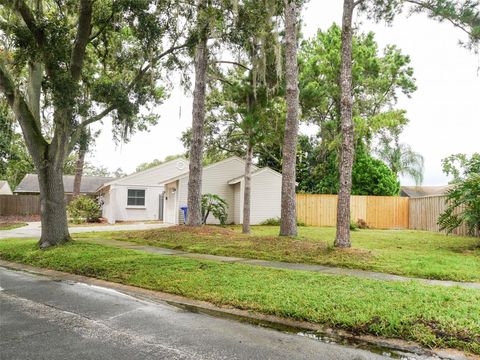 A home in TAMPA