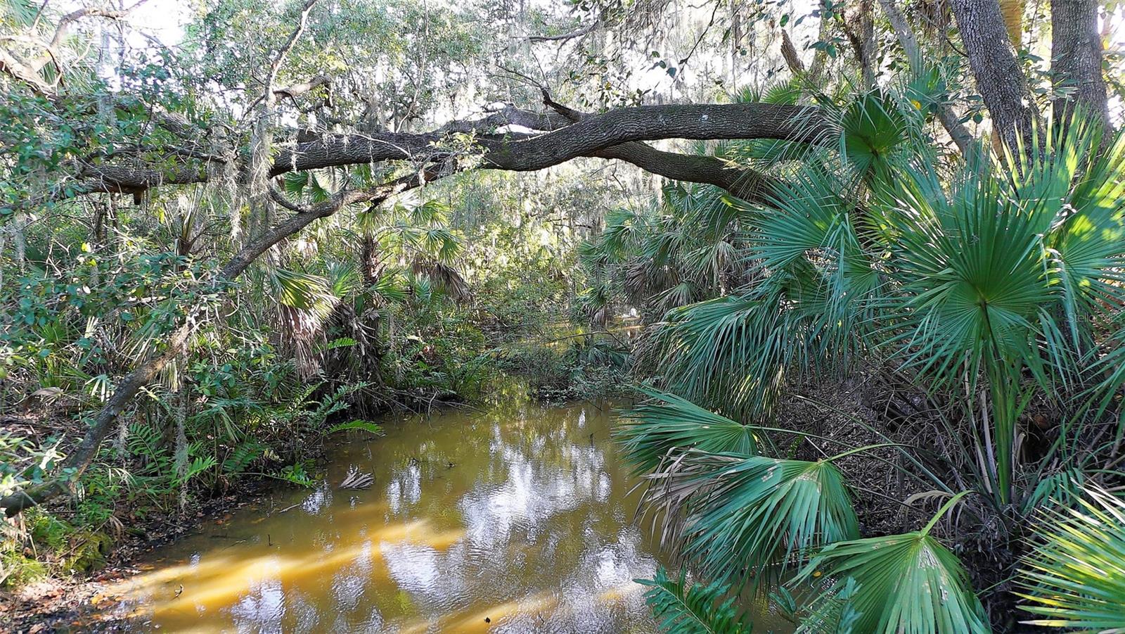 SAWGRASS - Residential