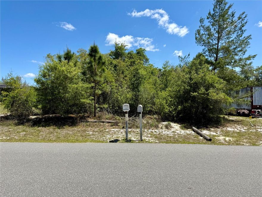 This prime building lot offers the perfect foundation for your dream home or investment opportunity. Located in a rapidly growing area between Deland and Eustis, the lot is just 13 minutes away from Publix. Manufactured or mobile homes are permitted, making it a versatile option for a variety of needs. Don't miss the opportunity to see this remarkable Lot. Schedule your visit today!!