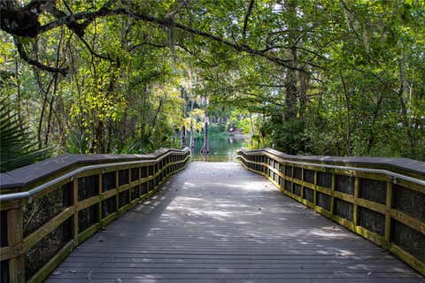 Tiny photo for 19720 SW 79th Place, Dunnellon, FL 34432 (MLS # OM727482)