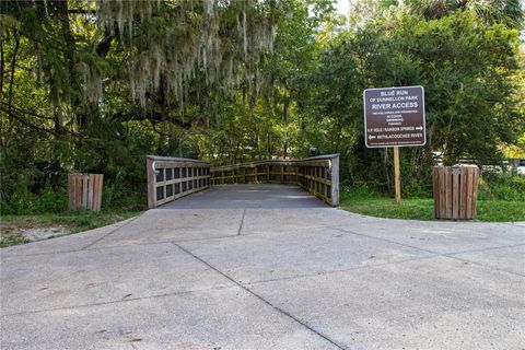 Tiny photo for 19720 SW 79th Place, Dunnellon, FL 34432 (MLS # OM727482)