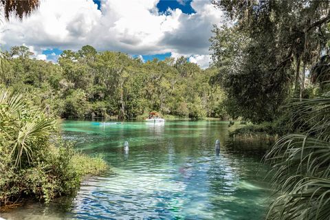 Tiny photo for 19720 SW 79th Place, Dunnellon, FL 34432 (MLS # OM727482)