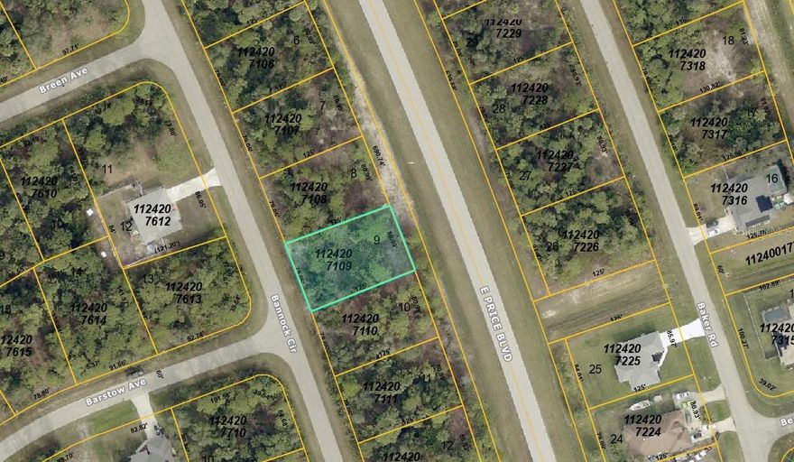 OPPORTUNITY AWAITS. 

Here is your chance to own a piece of paradise! Here is the one you have been looking for! 

Buyer is responsible for performing all due diligence including, but not limited to, availability of utilities, scrub-jay, wetlands, and tortoise restrictions and lot dimensions.