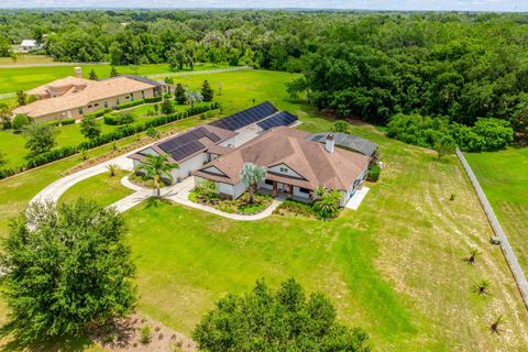 Photo of 27324 Grand Oak Lane, Tavares, FL 32778 (MLS # O6382196)