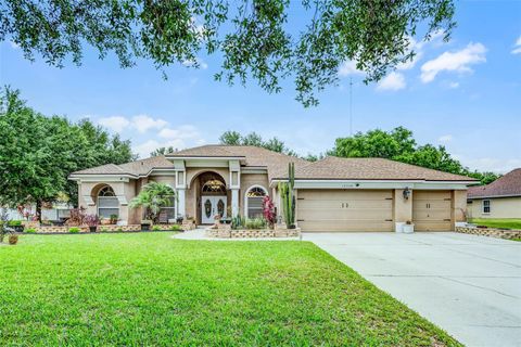Photo of 12320 Creek Edge Drive, Riverview, FL 33579 (MLS # O6298451)