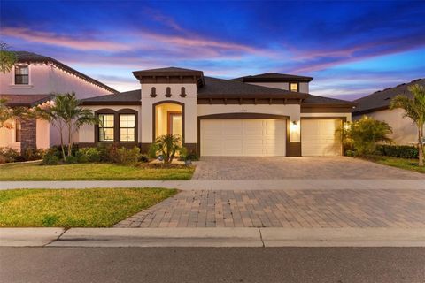 13182 TWIN BRIDGES DRIVE RIVERVIEW FL 33579