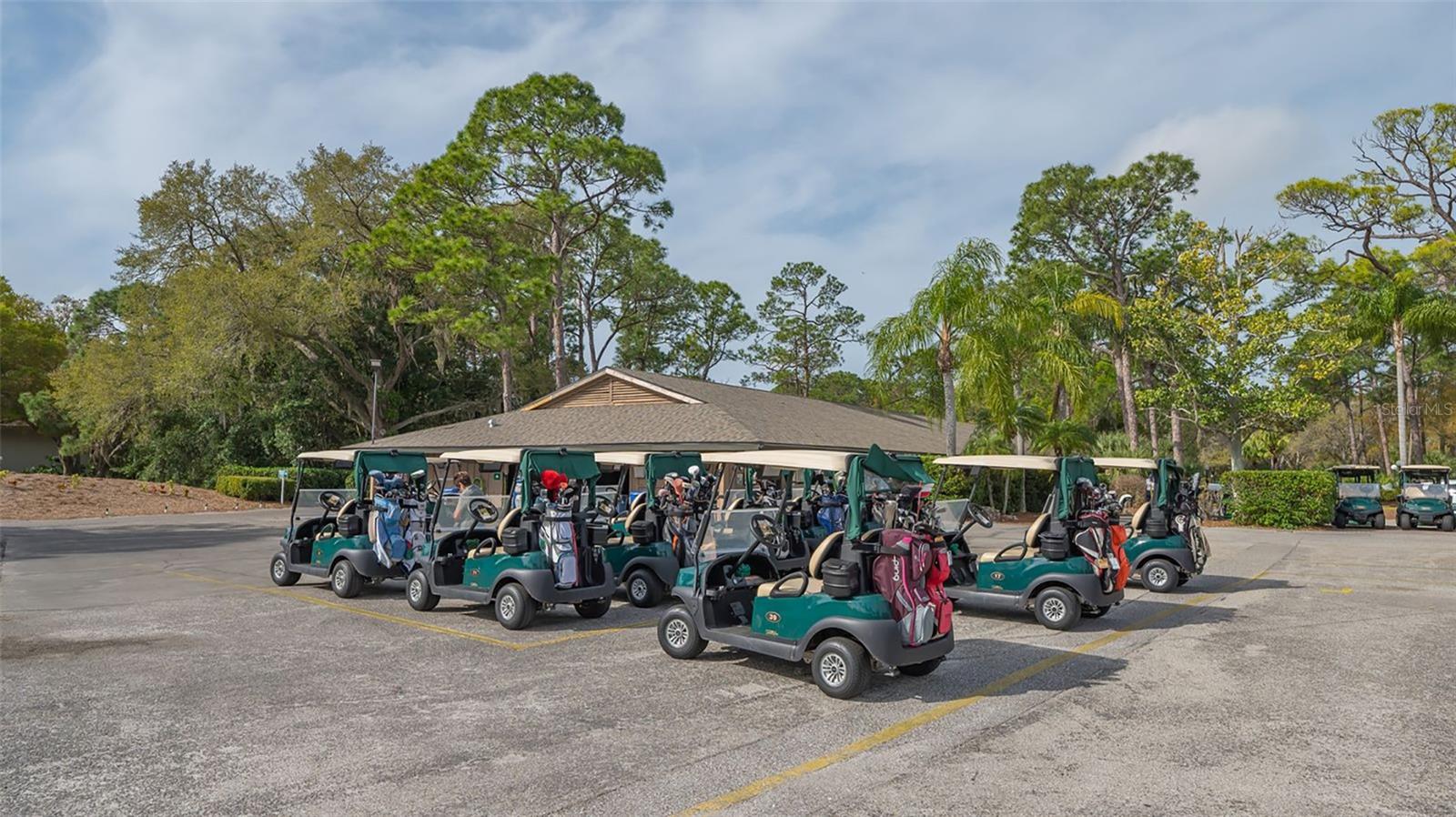 MEADOWS THE - Residential