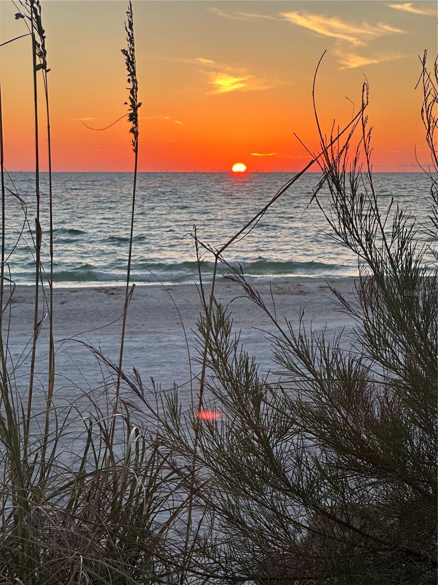 WISTERIA PARK - Residential