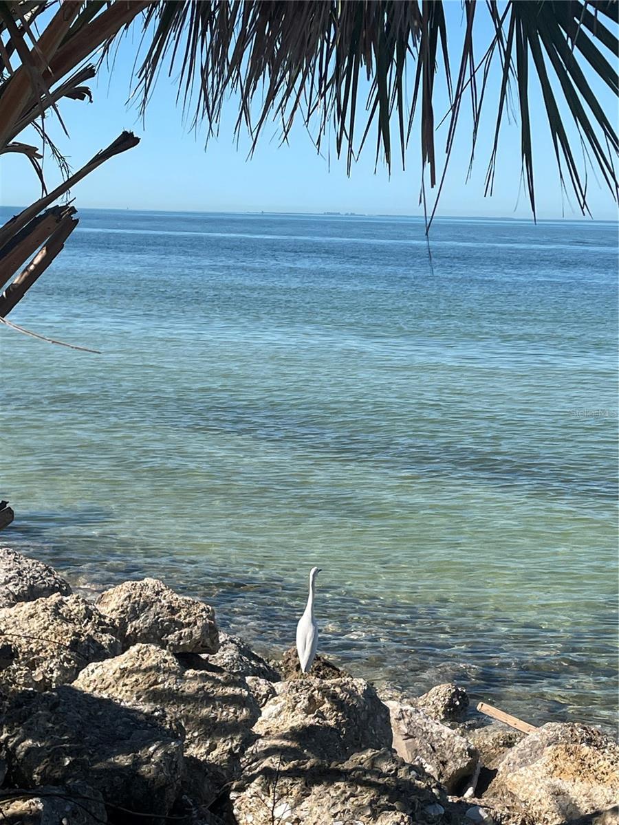 WISTERIA PARK - Residential