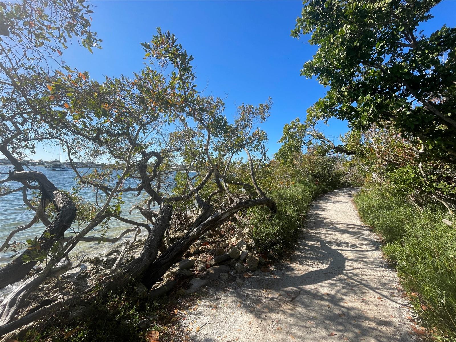 WISTERIA PARK - Residential