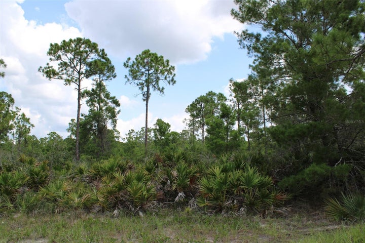 Photo 1 of 5 — 1830 OLEASTER AVENUE, SEBRING, FL 33875