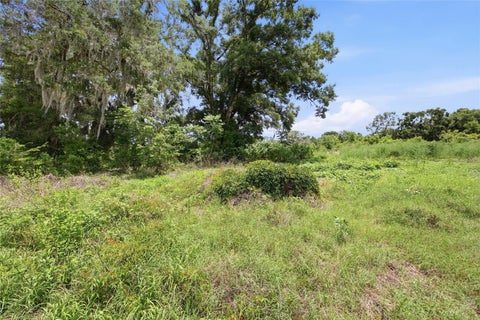 Tiny photo for 12630 U.S. 441, Belleview, FL 34420 (MLS # OM699685)