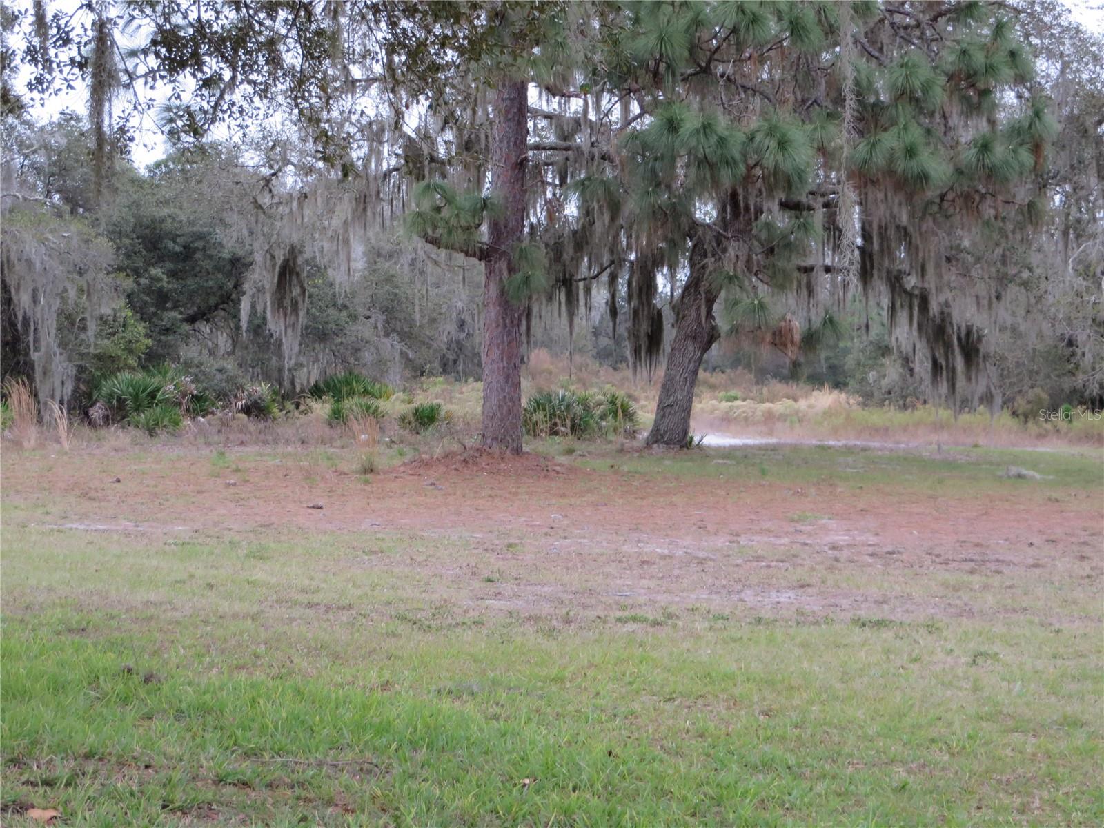 NARCOOSSEE NEW MAP - Residential