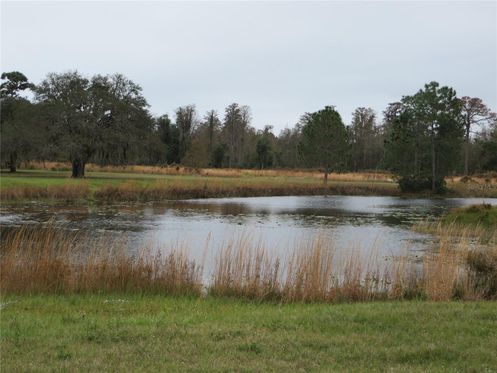 NARCOOSSEE NEW MAP - Residential