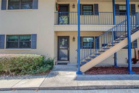 A home in MOUNT DORA