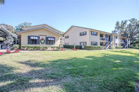 A home in MOUNT DORA