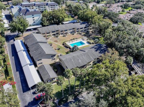 A home in MOUNT DORA