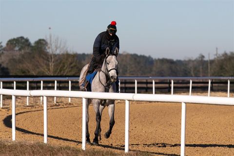 Tiny photo for 2351 NE 120 Avenue, Williston, FL 32696 (MLS # OM724384)