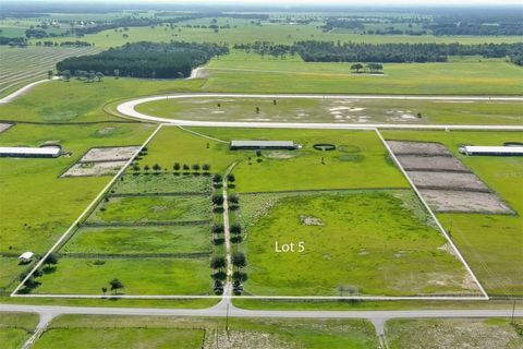 Photo of 2351 NE 120 Avenue, Williston, FL 32696 (MLS # OM724384)