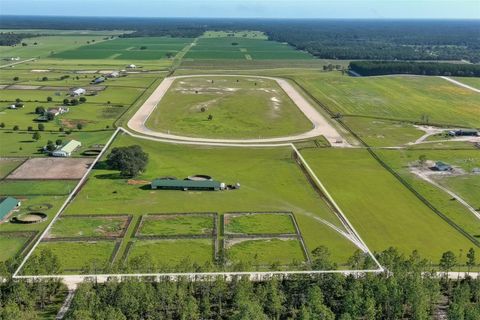 Tiny photo for 2351 NE 120 Avenue, Williston, FL 32696 (MLS # OM724384)