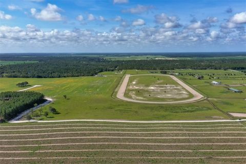Tiny photo for 2351 NE 120 Avenue, Williston, FL 32696 (MLS # OM724384)