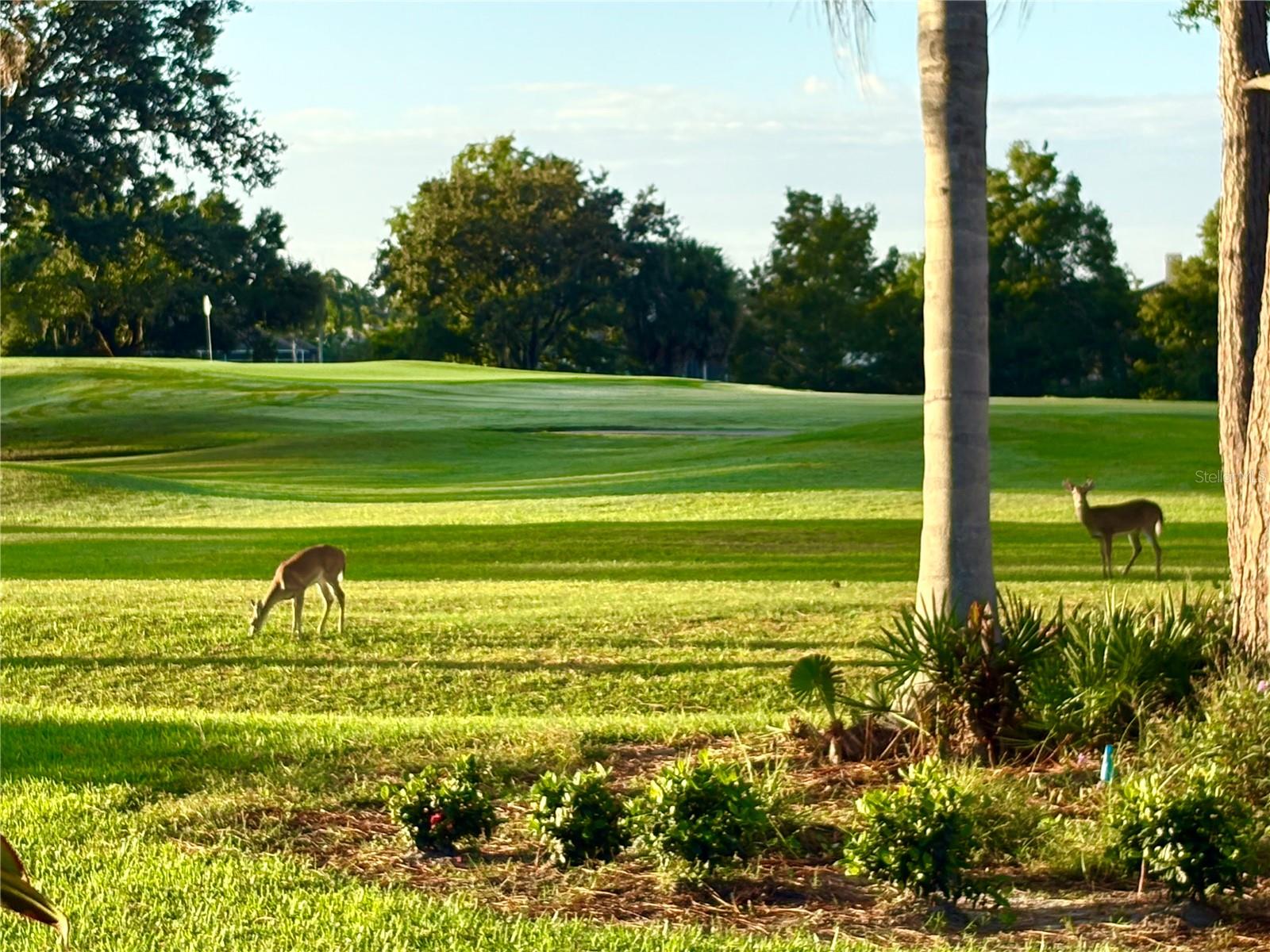 10142 GLENMORE AVENUE