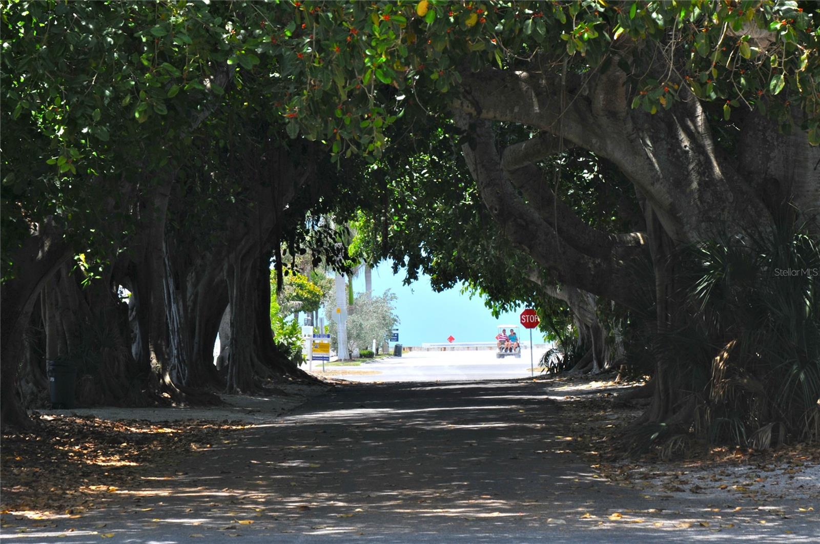 EAST SHORE ACRES - Residential