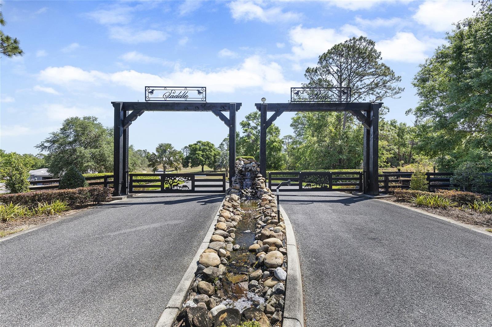 41522 SADDLE RIDGE LANE