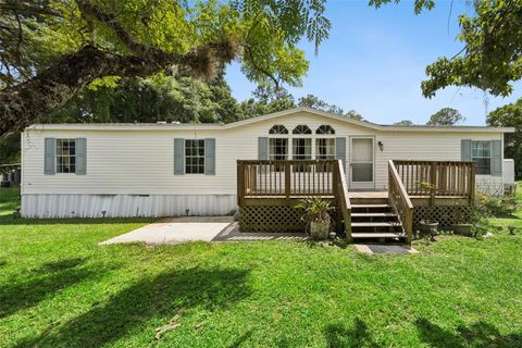Photo of 25412 Mathew Street, Christmas, FL 32709 (MLS # O6399420)