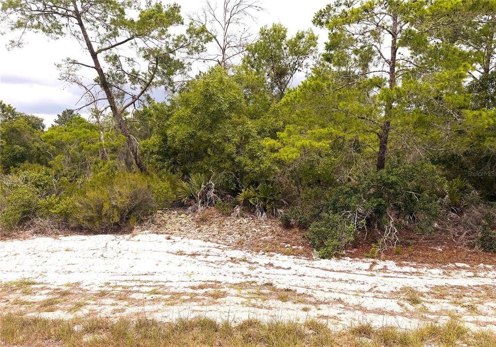Photo of 209 Coolidge Avenue NE, Lake Placid, FL 33852 (MLS # L4962634)