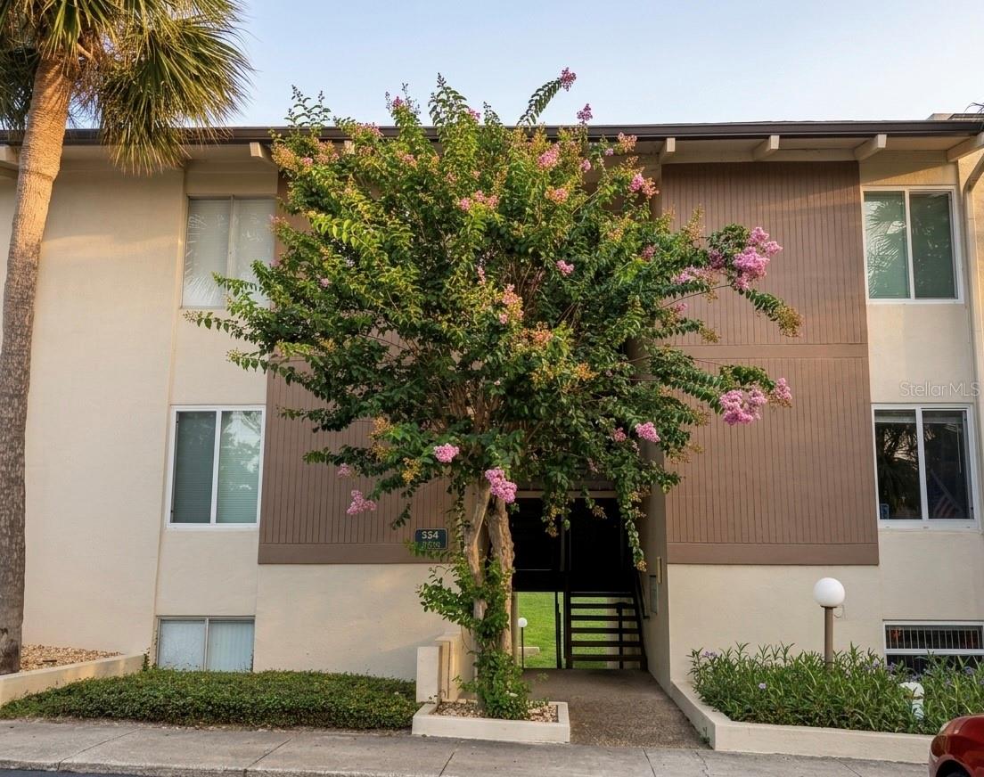 554 ORANGE DRIVE 15