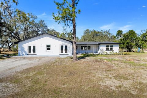 Photo of 828 Saint Anne Shrine Road, Lake Wales, FL 33898 (MLS # TB8468966)