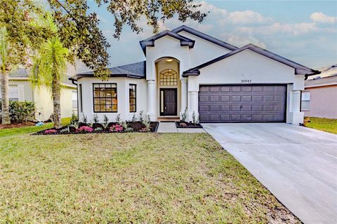 Photo of 30942 Baclan Drive, Wesley Chapel, FL 33545 (MLS # O6363417)