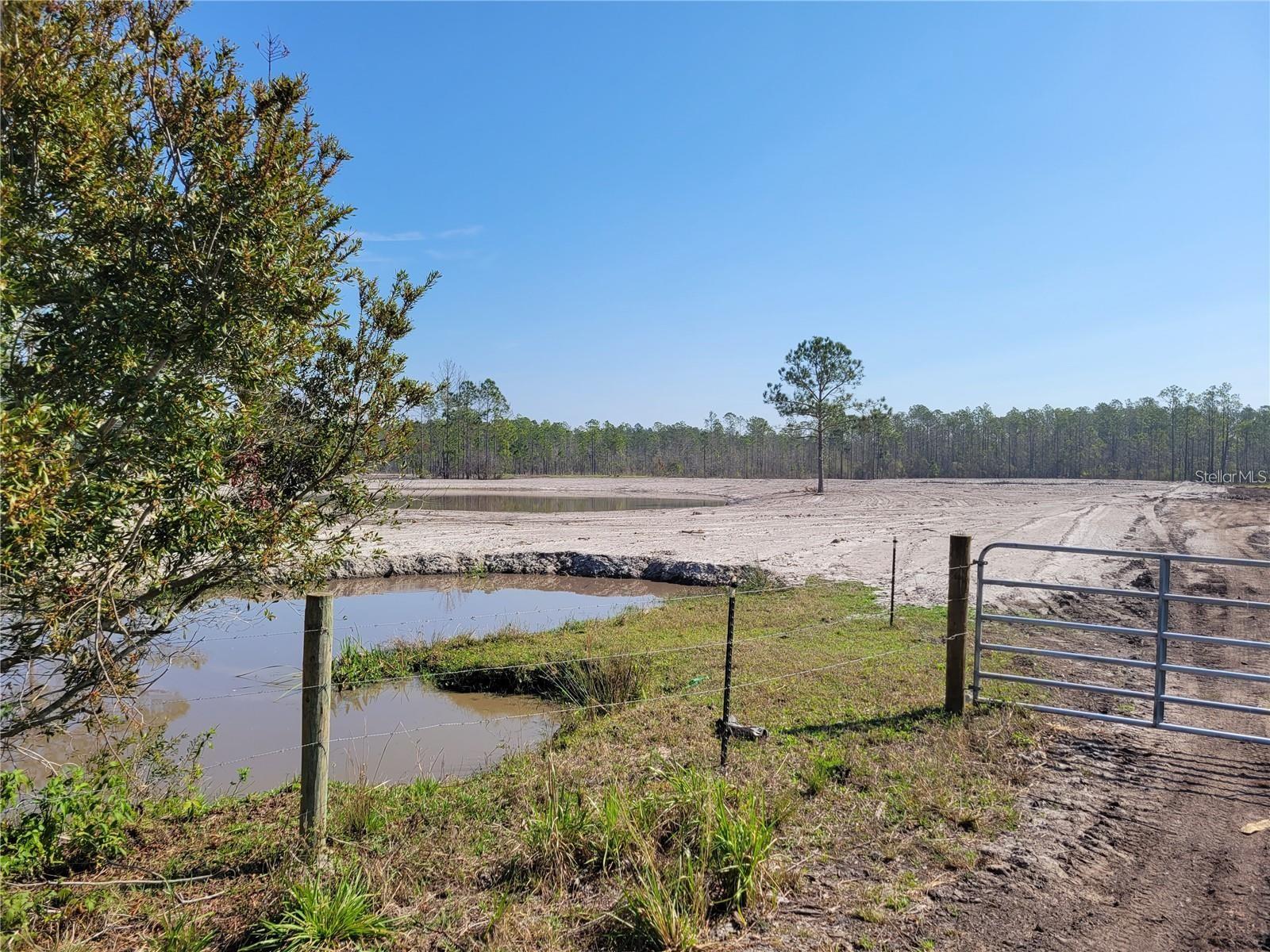 25.91 Acres of Mother Nature! If you love tranquil country life where wild life abounds, this could be your private paradise. These pristine country estate lots are surrounded by state lands as one of the last large tracts in Volusia county. Situated in the country just 10 minutes from Walmart in the quiet city of New Smyrna Beach, FL. Few deed restrictions are designed to increase values but will not nitpick the owners. The basics are 1,500 sq. ft. minimum under air on main homes, no hog or chicken farms, allows for other buildings-barns, stables, cabins, RV’s even tiny homes, next to or behind the main home, front yards are to be kept clean from trash, with no time limit to build. This is for Lot 15 only. Other Lots May be available.