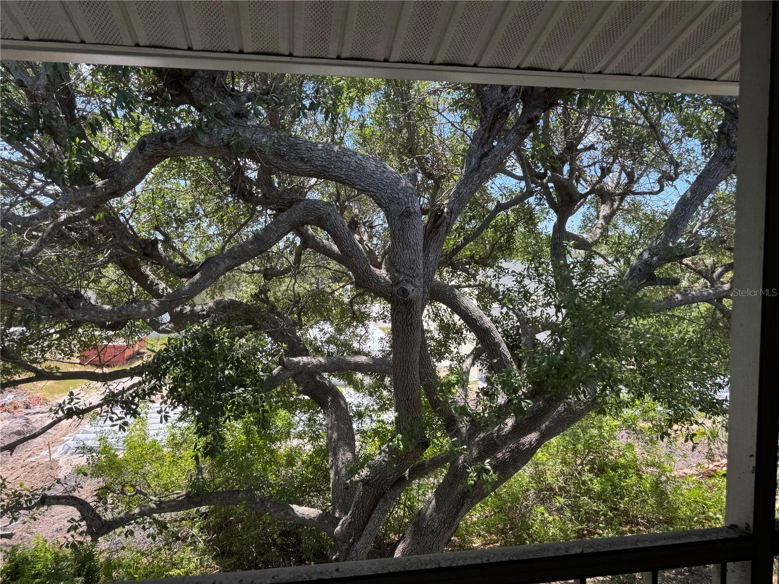 BIMIMI RUN BLDG 01 - Residential