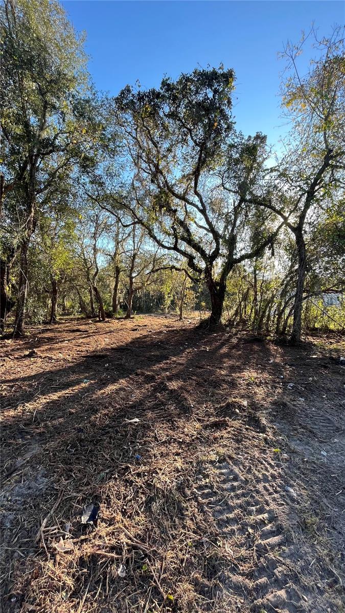 MOON LAKE ESTATES - Land