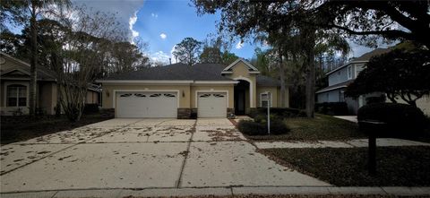 Photo of 6041 Catlin Drive, Tampa, FL 33647 (MLS # TB8484964)