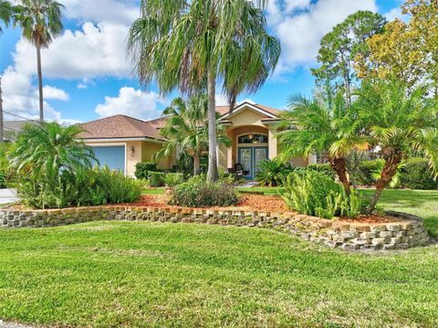 A home in PALM COAST