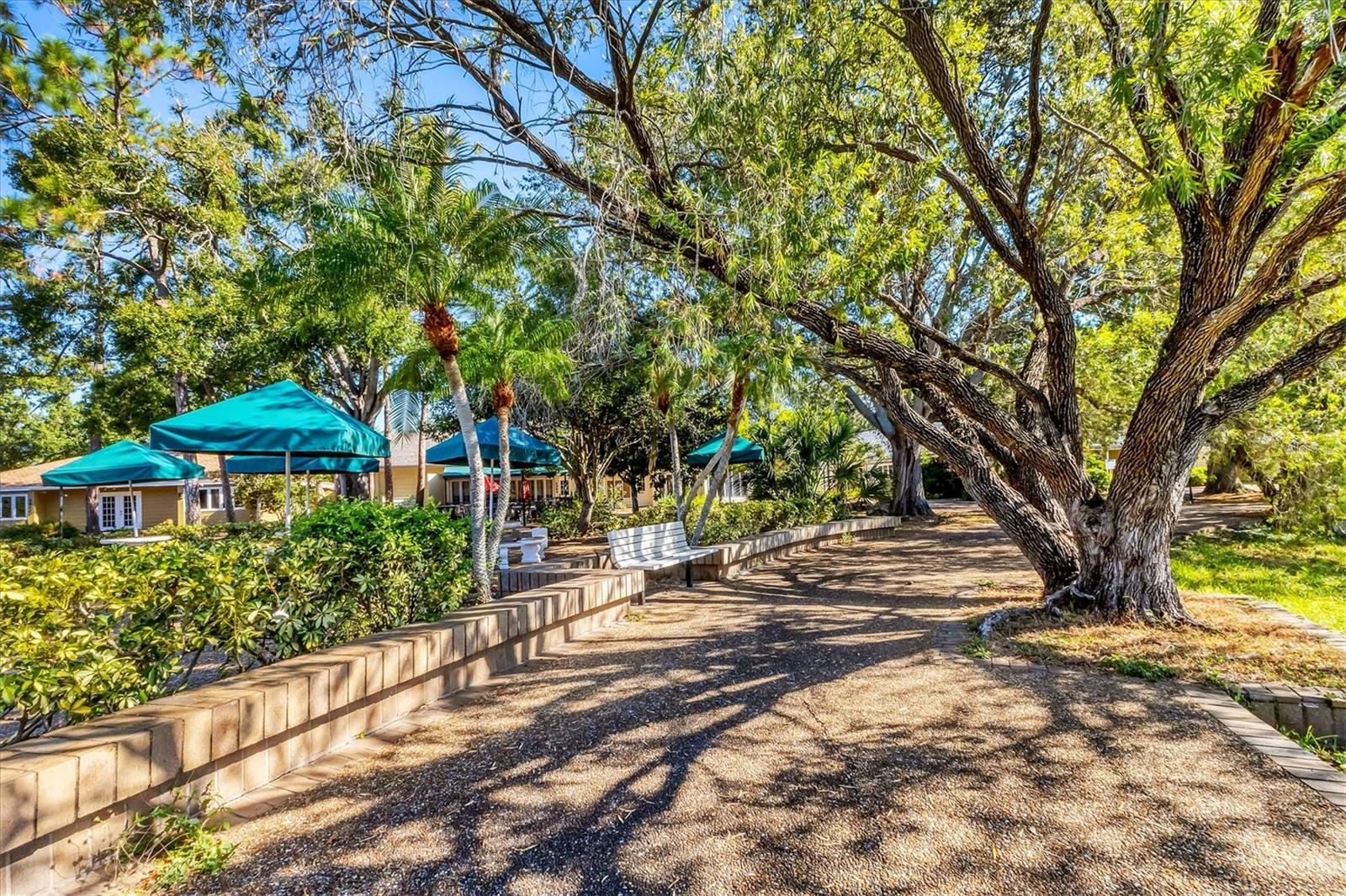 MEADOWLAKE IV - Residential