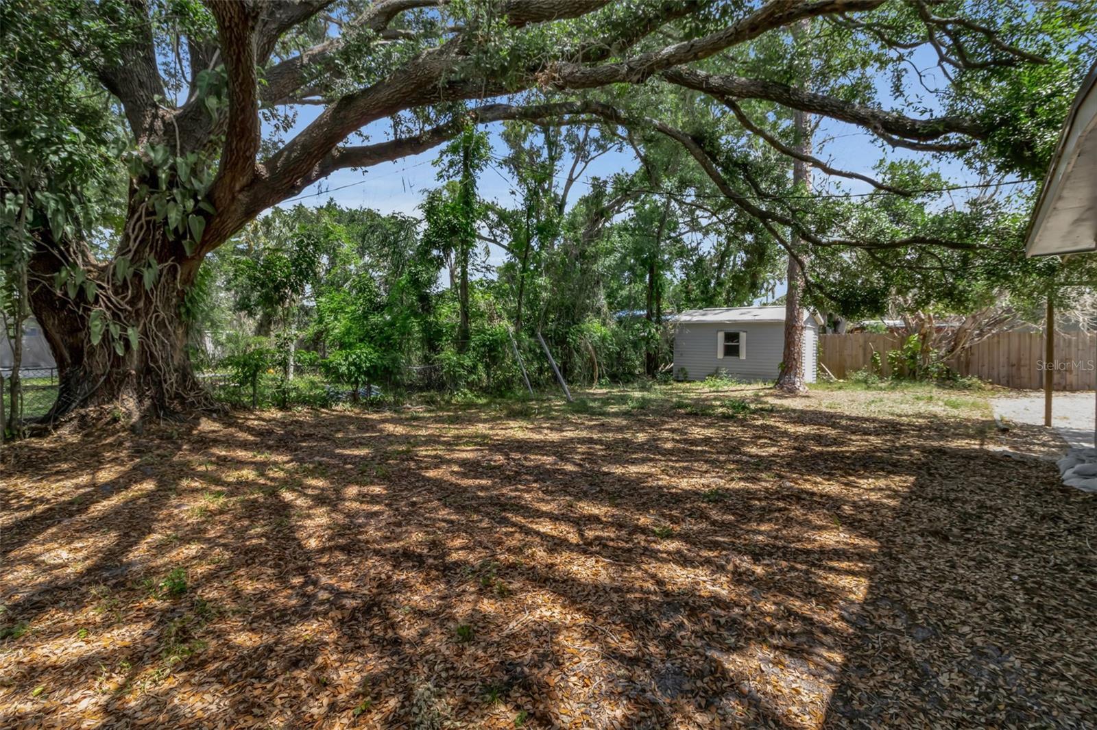 AZALEA TERRACE REP - Residential