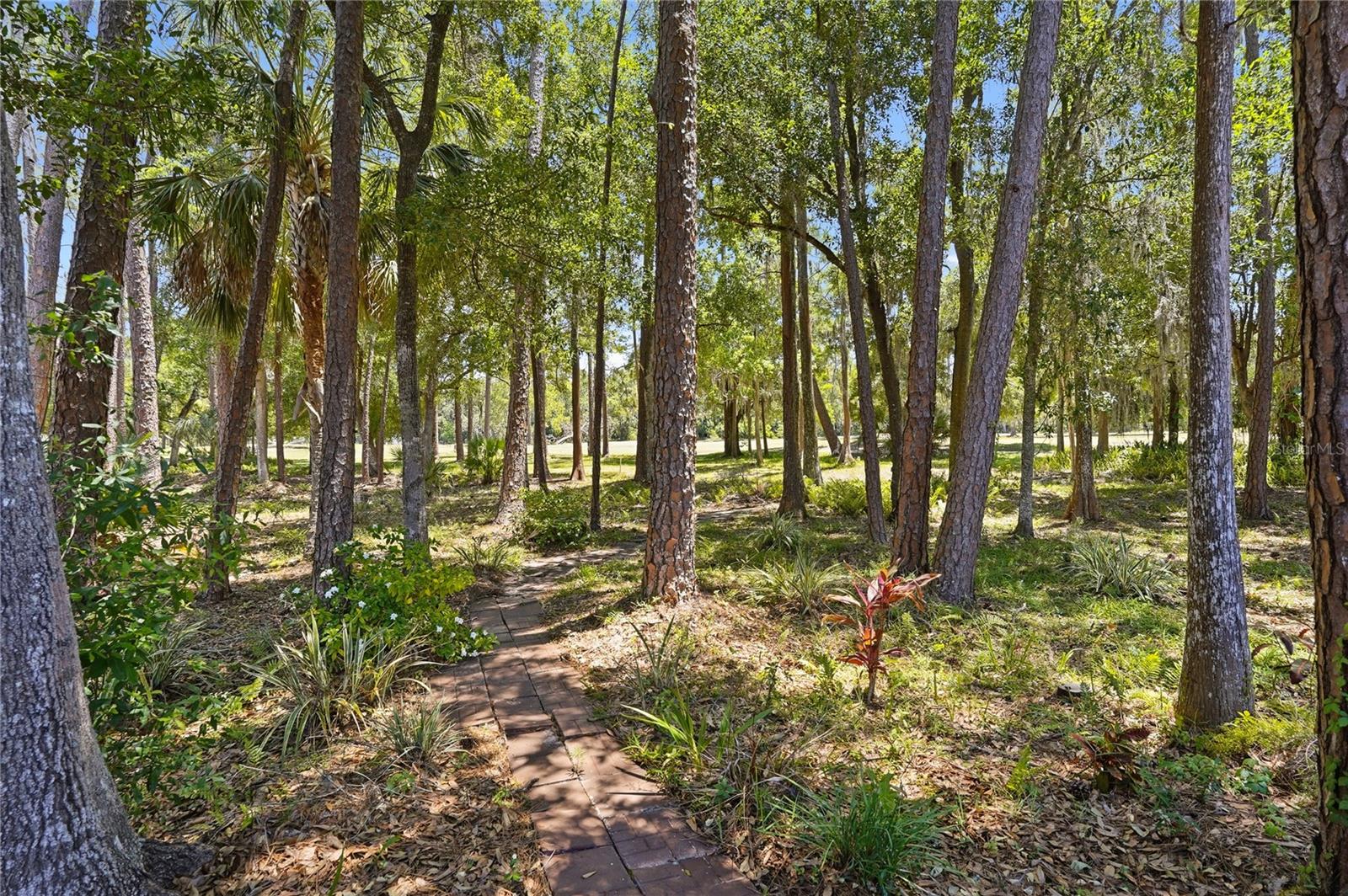 TARPON WOODS 2ND ADD REP - Residential